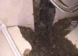 察哈尔右翼中卫生间测漏水哪家好