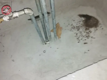 察哈尔右翼中卫生间测漏水价格明细