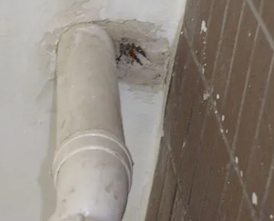 察哈尔右翼中漏水检测哪家好